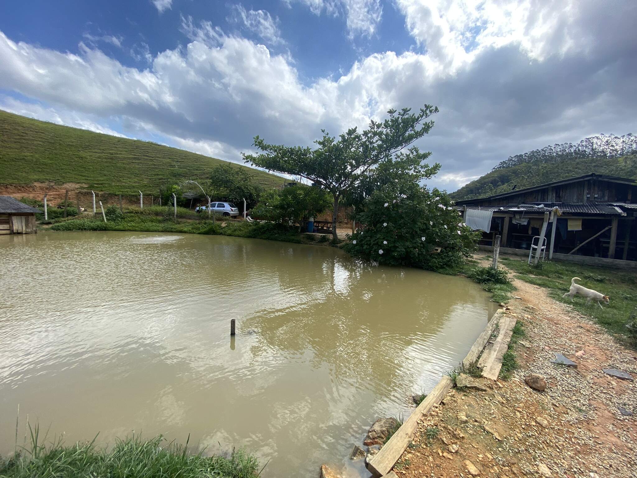 Chácara de 3 quartos, 9000m² no bairro Limeira, em Brusque | Eu Corretor