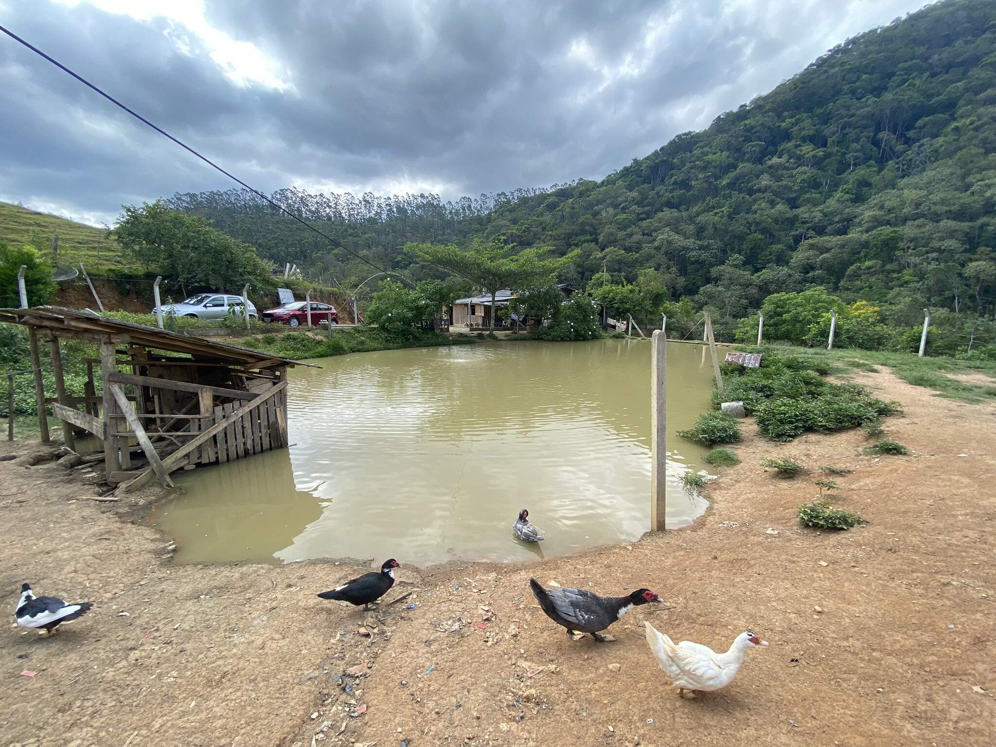 Chácara de 3 quartos, 9000m² no bairro Limeira, em Brusque | Eu Corretor