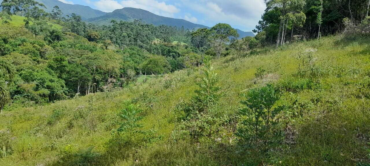 Lote/Terreno de 10000m² no bairro Não Informado, em Canelinha | Eu Corretor