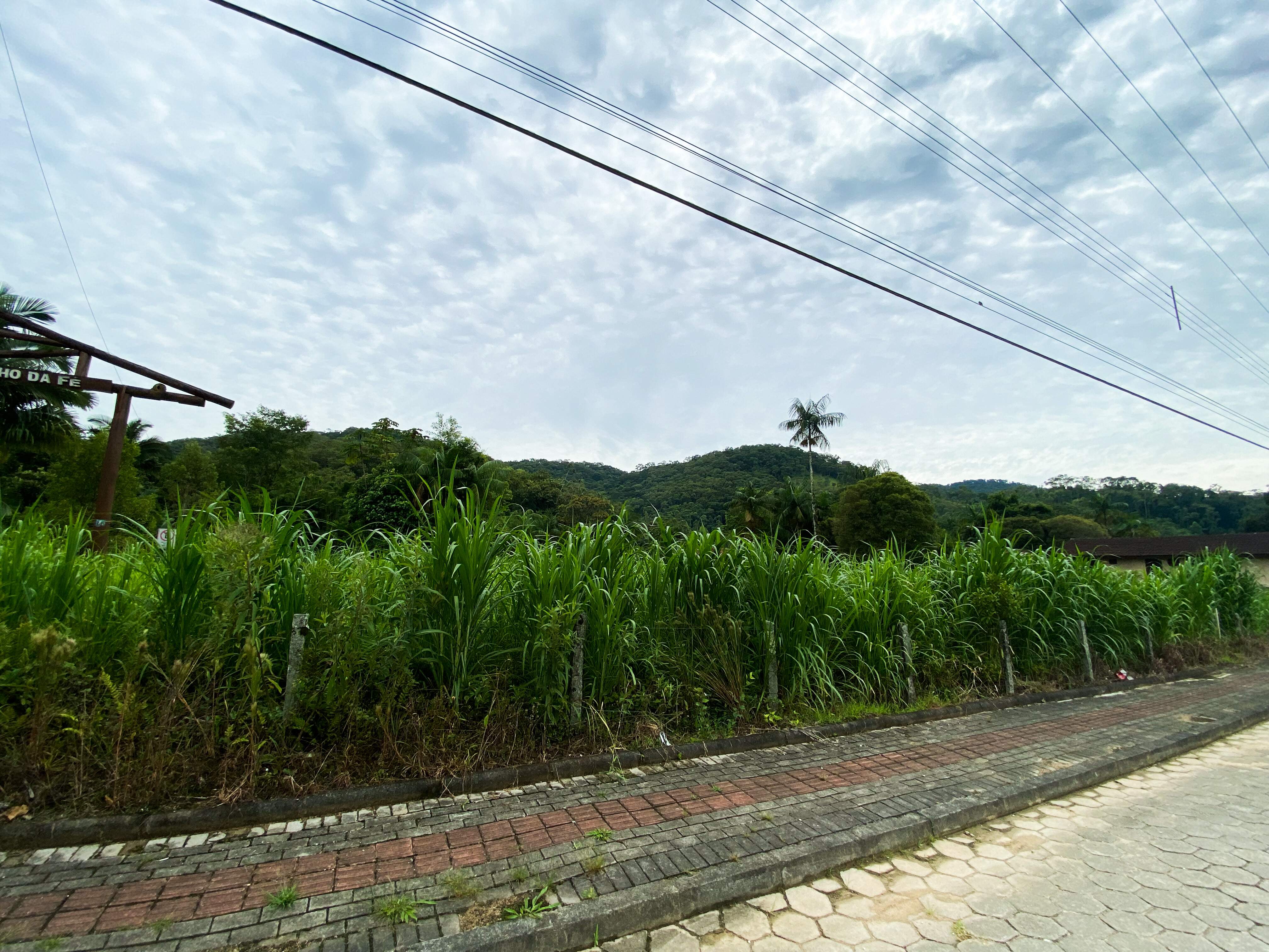 Lote/Terreno de 2000m² no bairro Não Informado, em Guabiruba | Eu Corretor