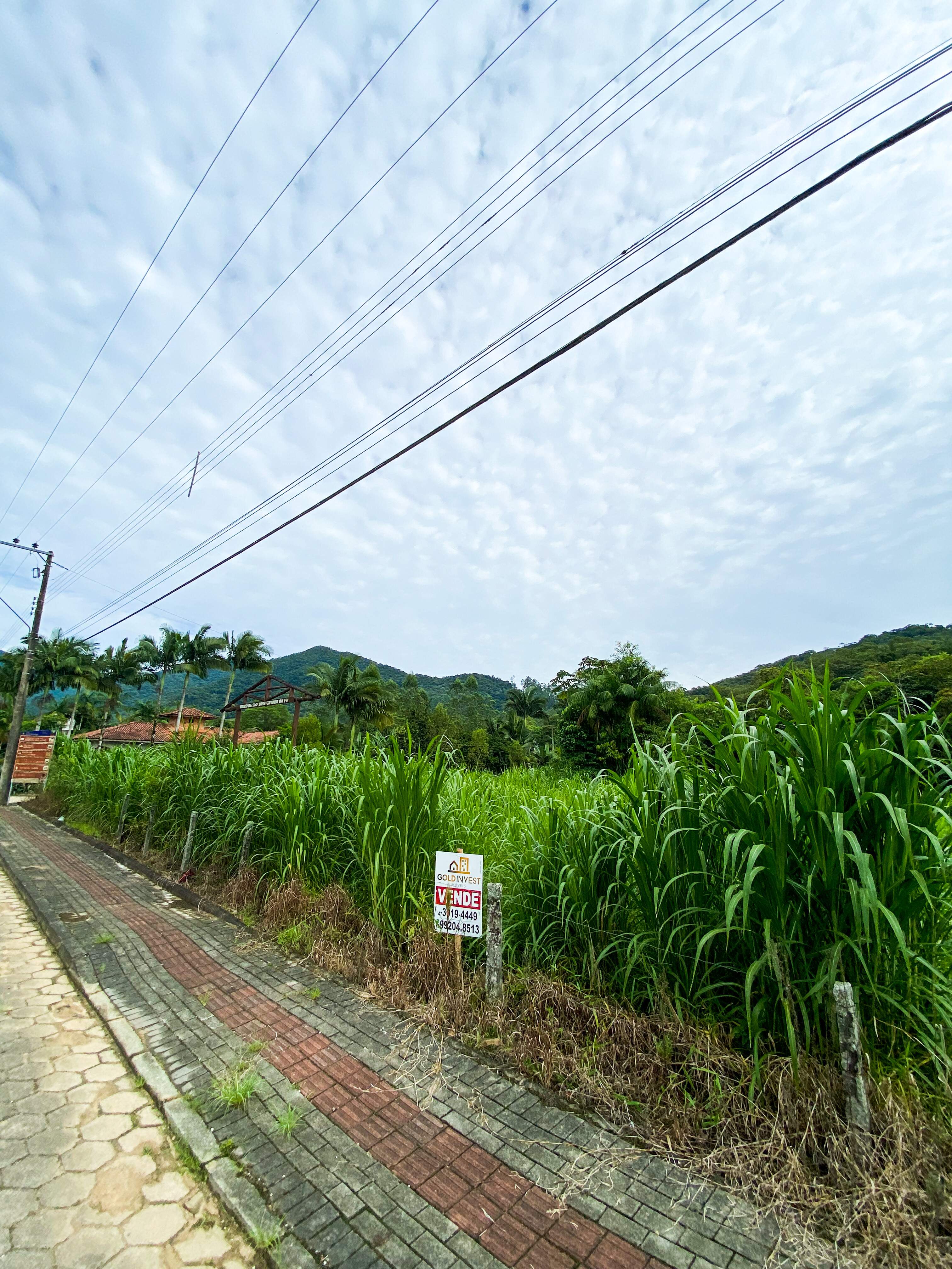 Lote/Terreno de 2000m² no bairro Não Informado, em Guabiruba | Eu Corretor