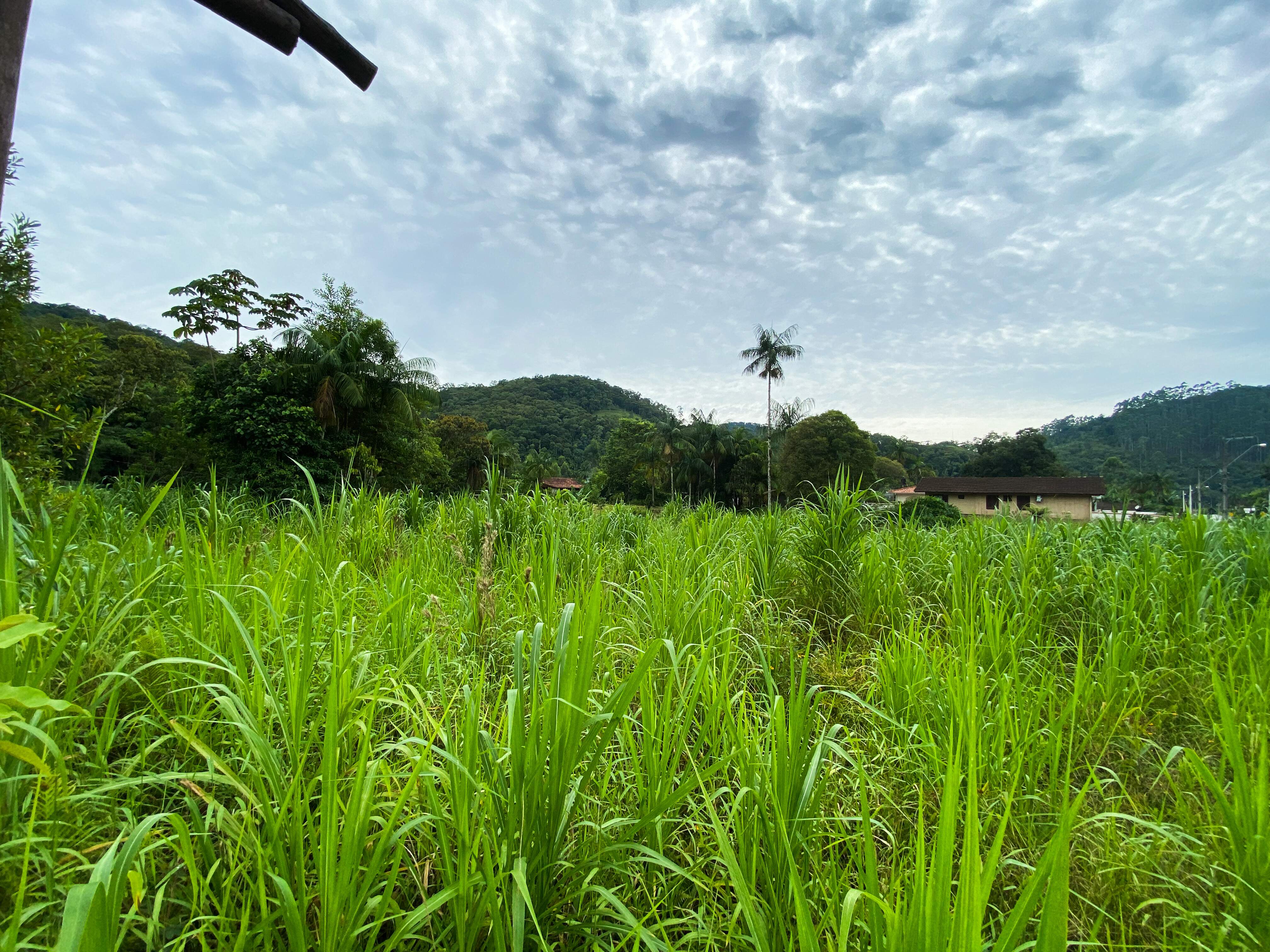 Lote/Terreno de 2000m² no bairro Não Informado, em Guabiruba | Eu Corretor