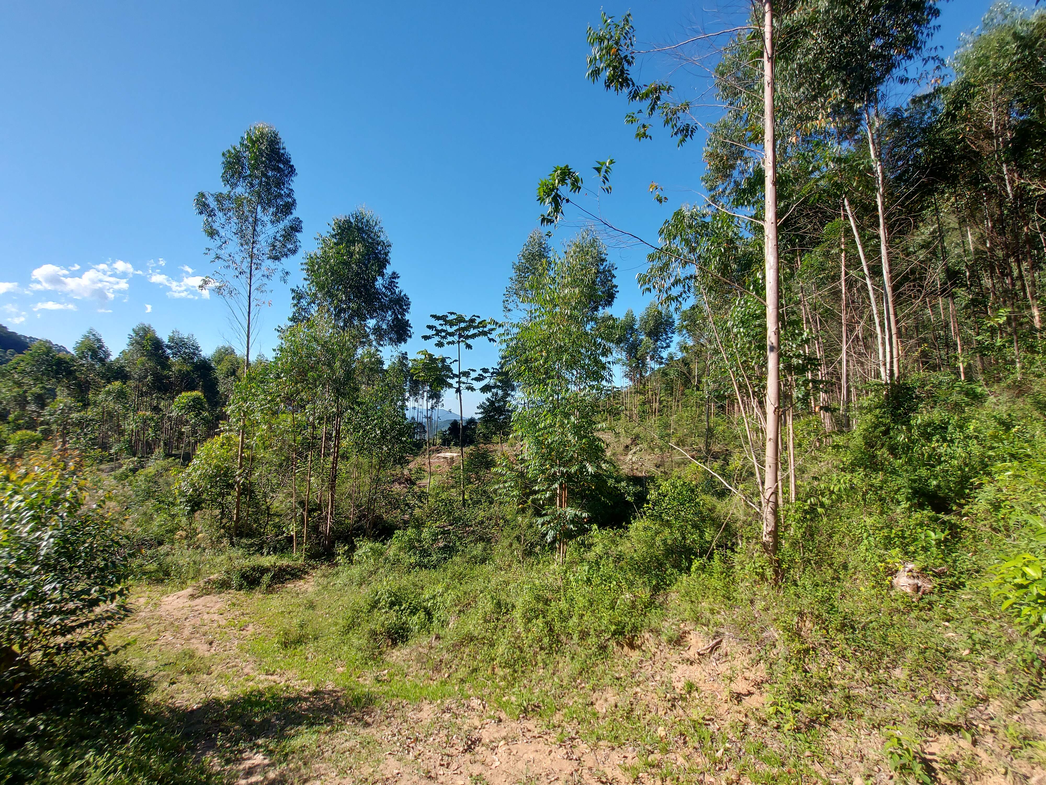 Chácara de no bairro Cedro Grande, em Brusque | Eu Corretor