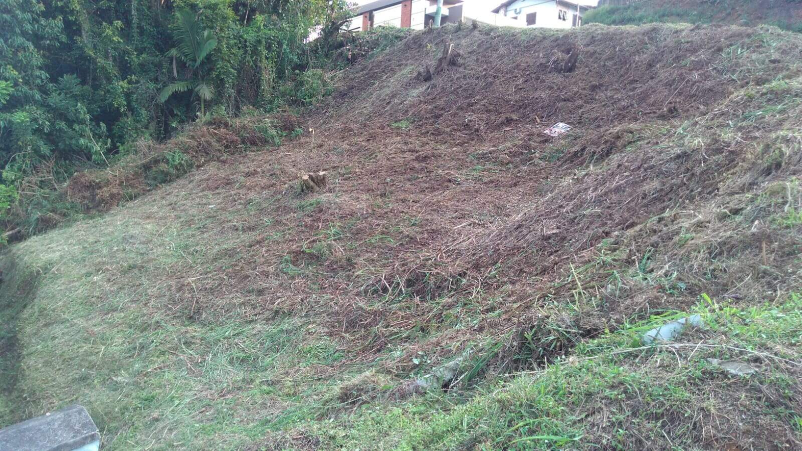 Lote/Terreno de 490m² no bairro Souza Cruz, em Brusque | Eu Corretor