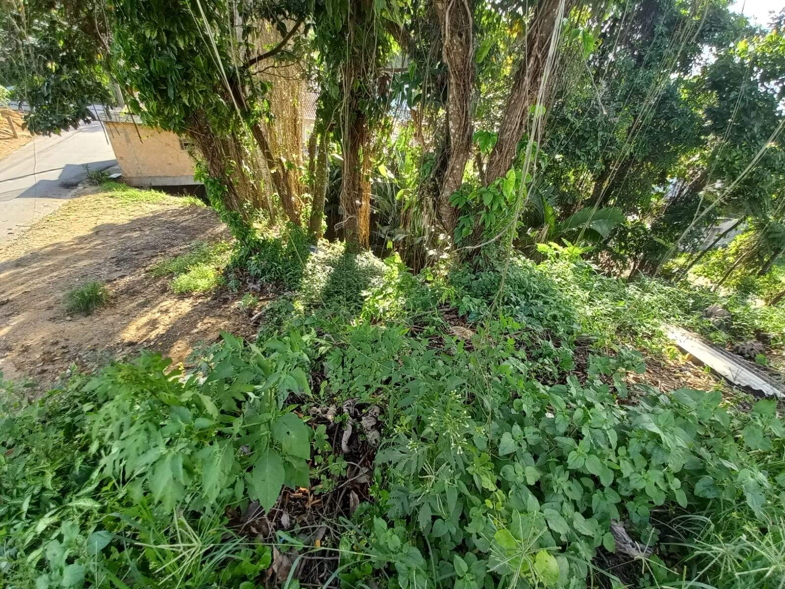 Lote/Terreno de 708m² no bairro Primeiro de Maio, em Brusque | Eu Corretor