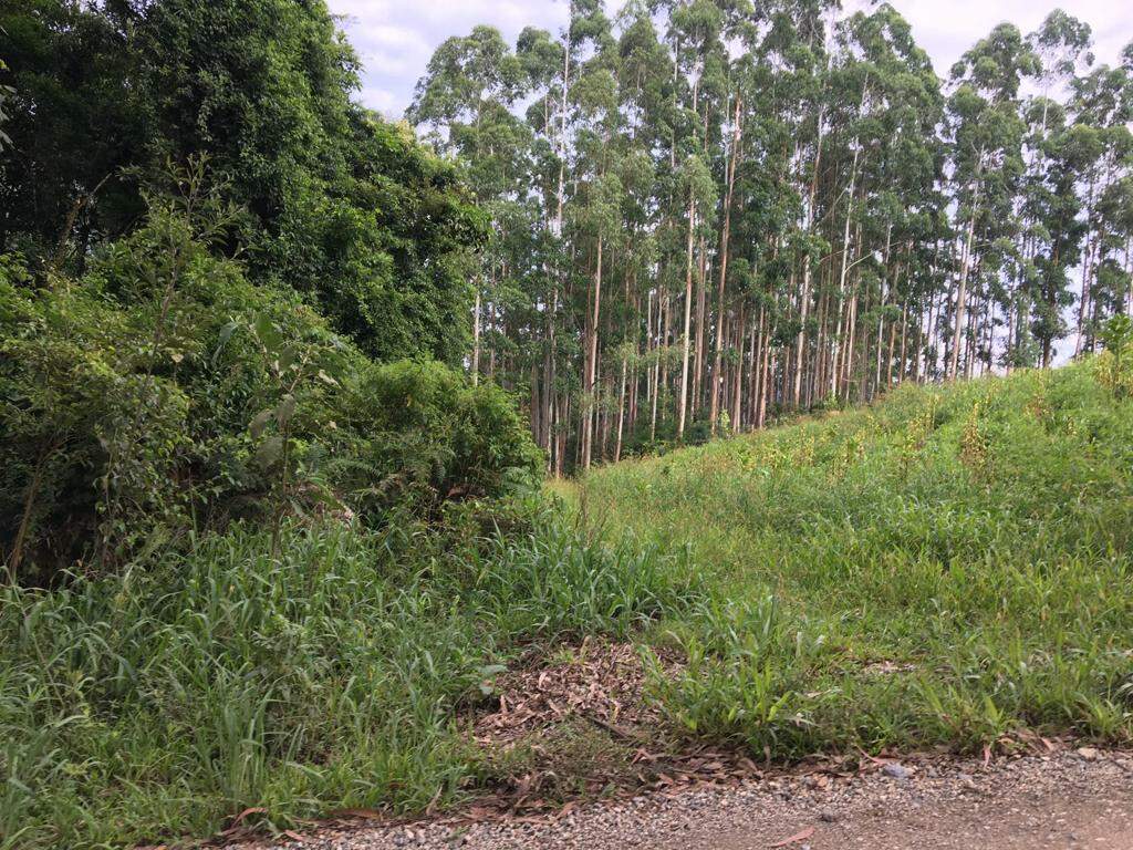 Chácara de 10000m² no bairro Não Informado, em Botuverá | Eu Corretor