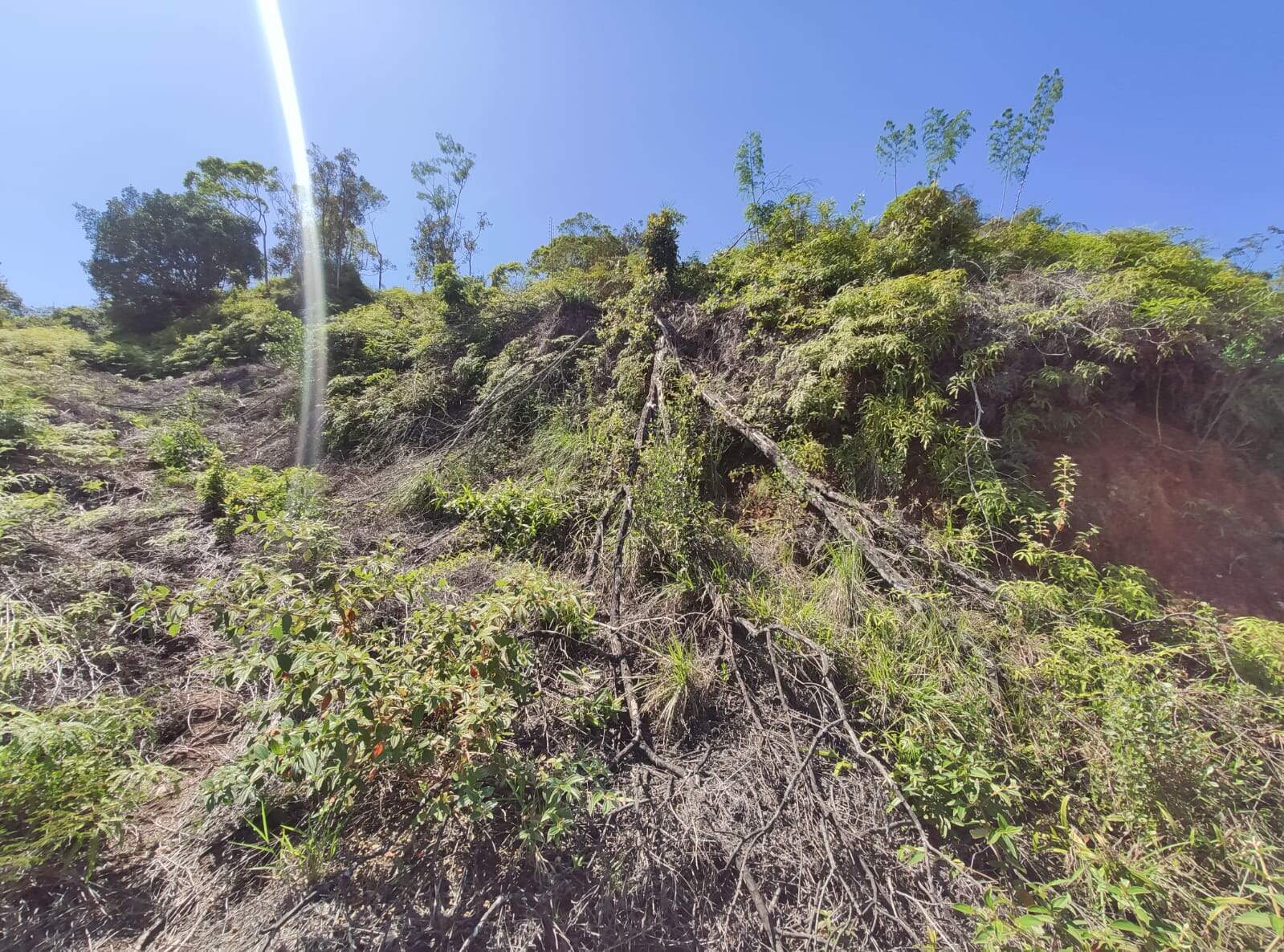 Lote/Terreno de 530m² no bairro Nova Brasília, em Brusque | Eu Corretor