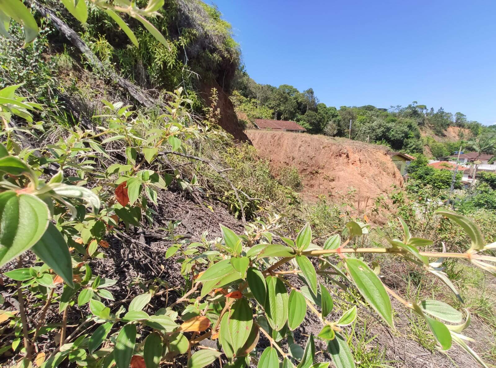 Lote/Terreno de 530m² no bairro Nova Brasília, em Brusque | Eu Corretor