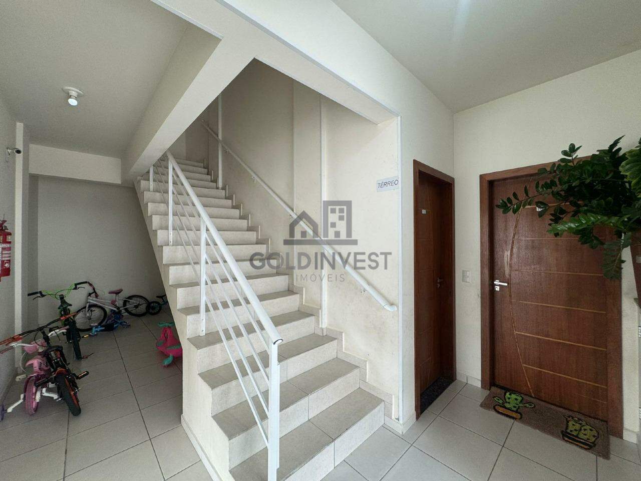 Apartamento para aluguel no Limoeiro: 