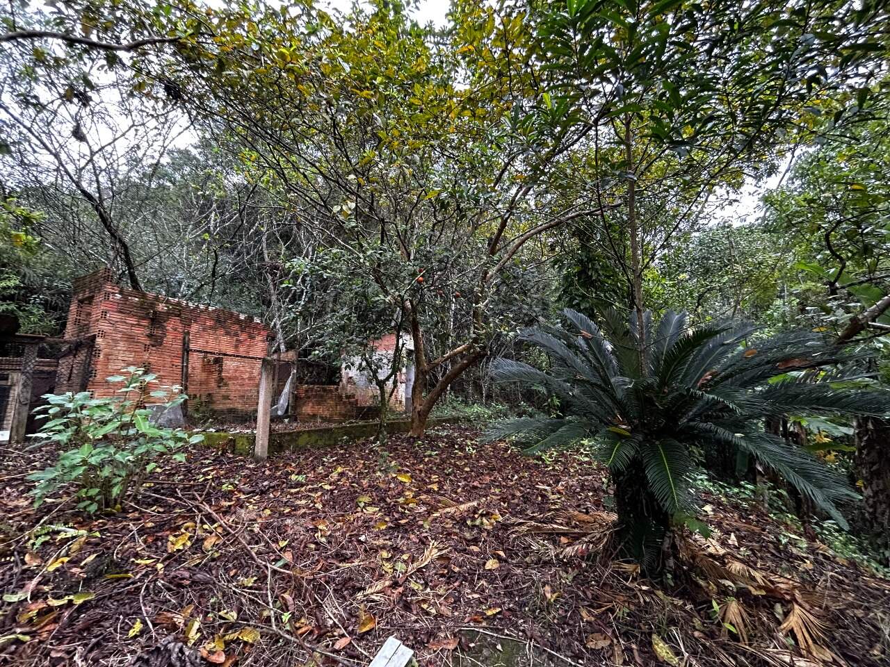 Terreno à venda no Zantão: 