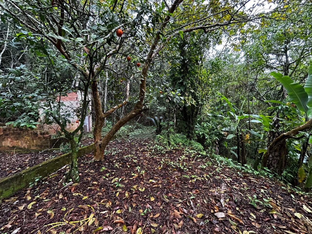 Terreno à venda no Zantão: 