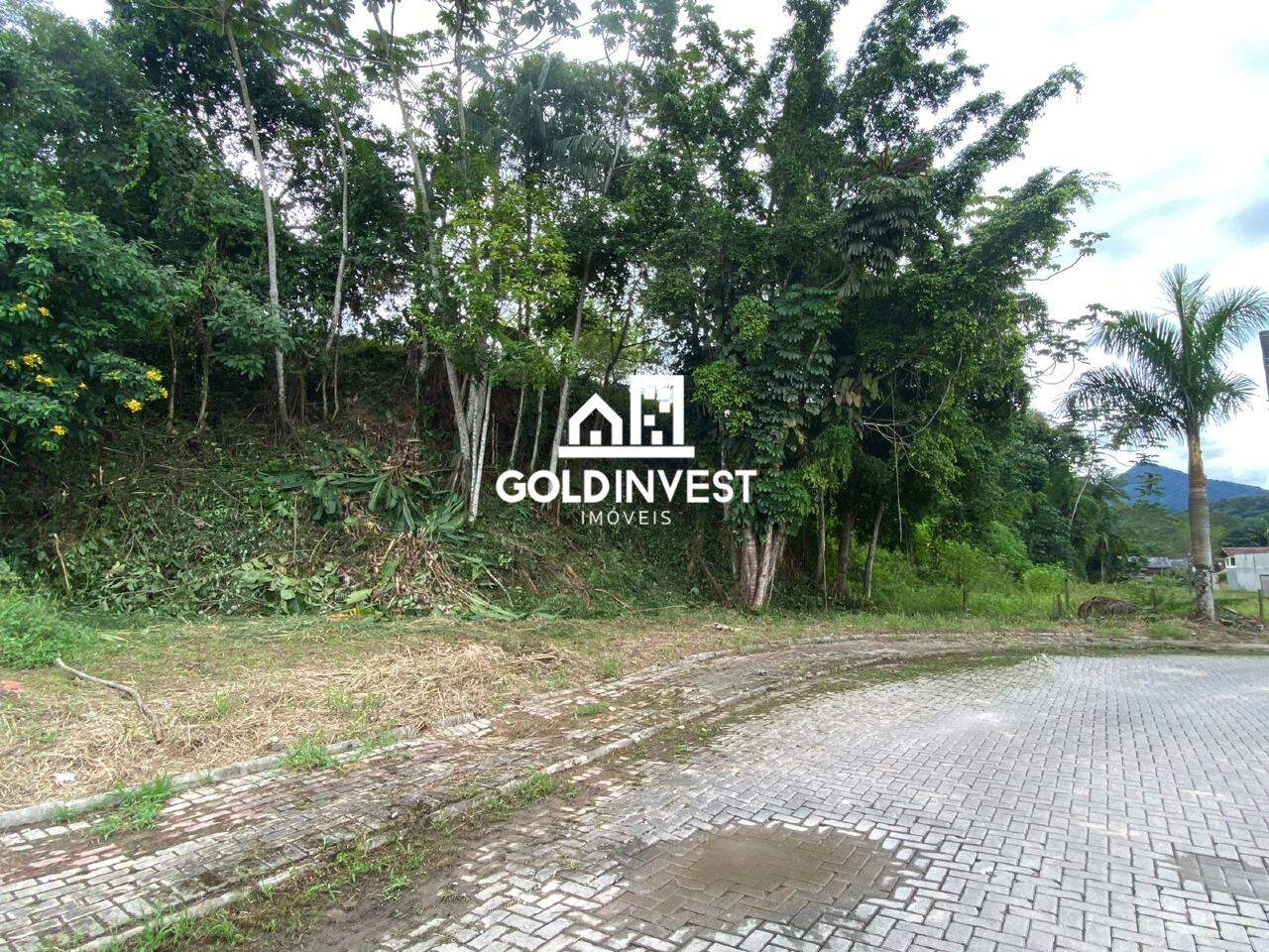 Lote/Terreno de 427m² no bairro CENTRO, em Guabiruba | Eu Corretor