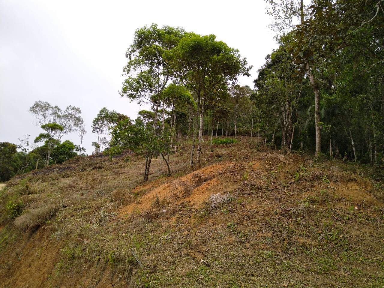 Lote/Terreno de 2500m² no bairro São João, em Brusque | Eu Corretor