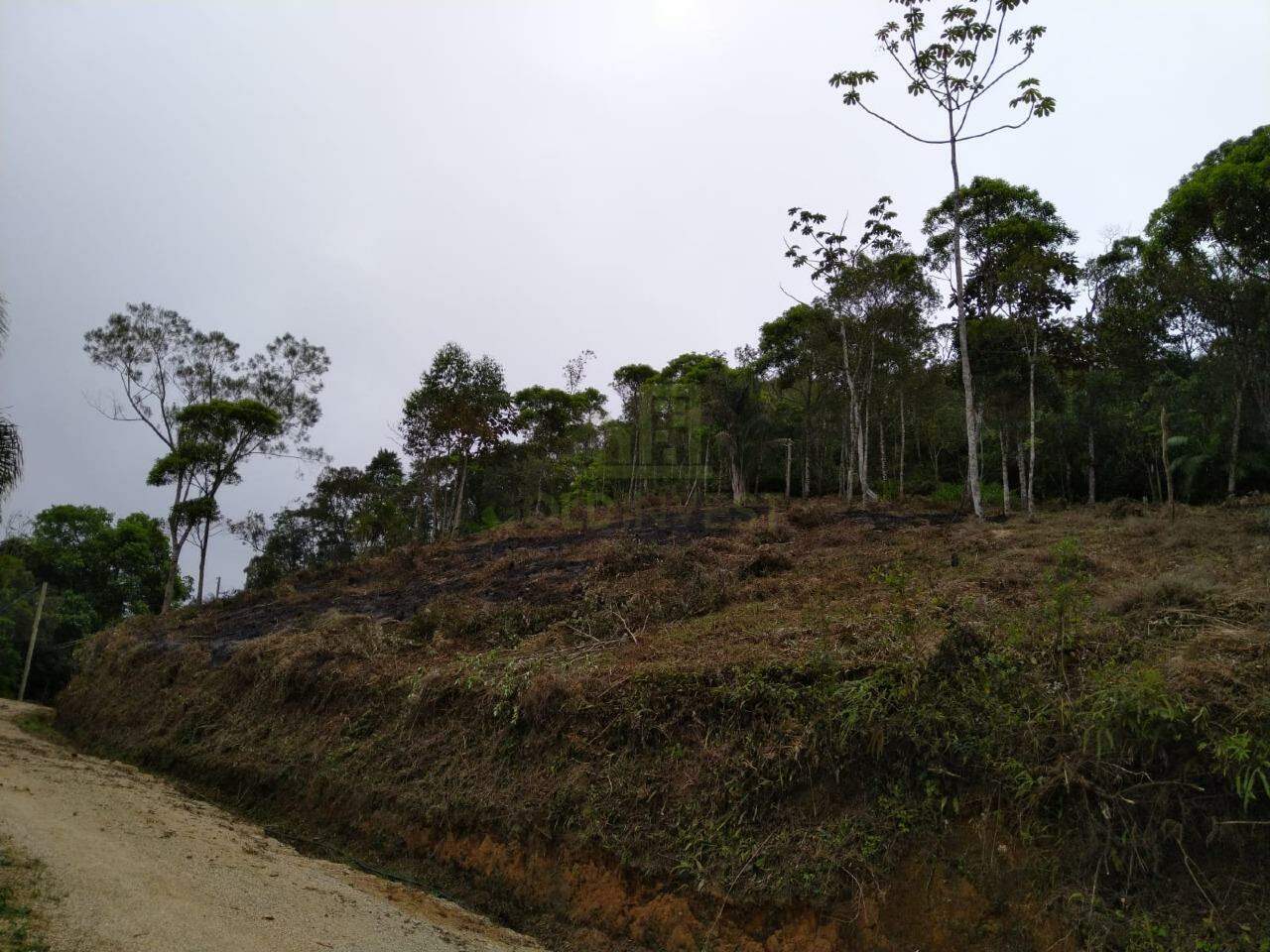 Lote/Terreno de 2500m² no bairro São João, em Brusque | Eu Corretor