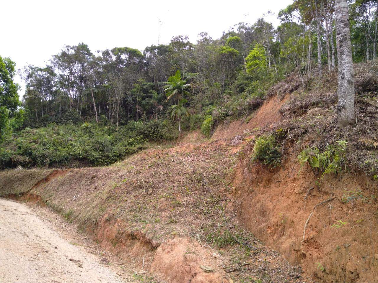 Lote/Terreno de 2500m² no bairro São João, em Brusque | Eu Corretor