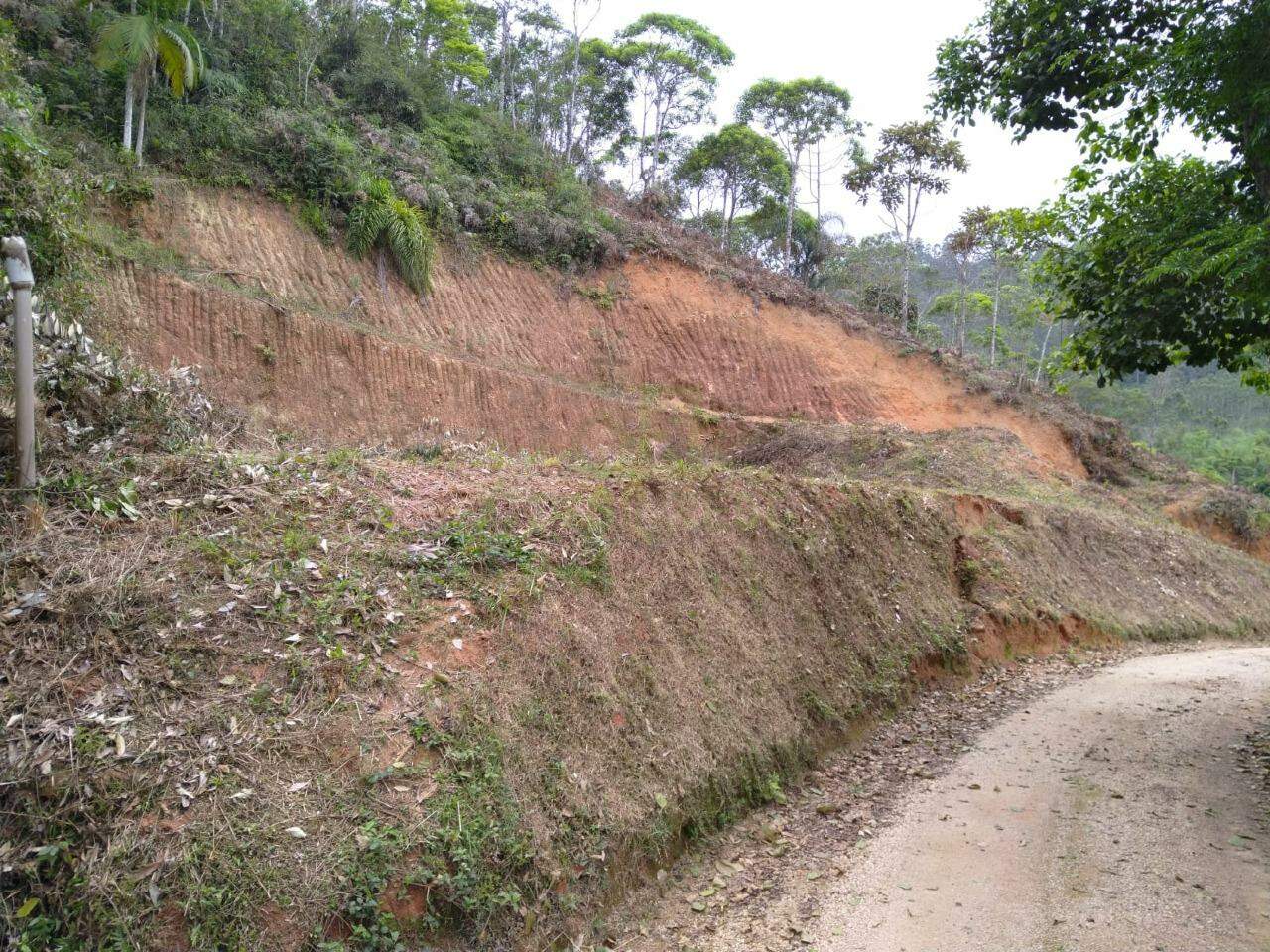 Lote/Terreno de 2500m² no bairro São João, em Brusque | Eu Corretor