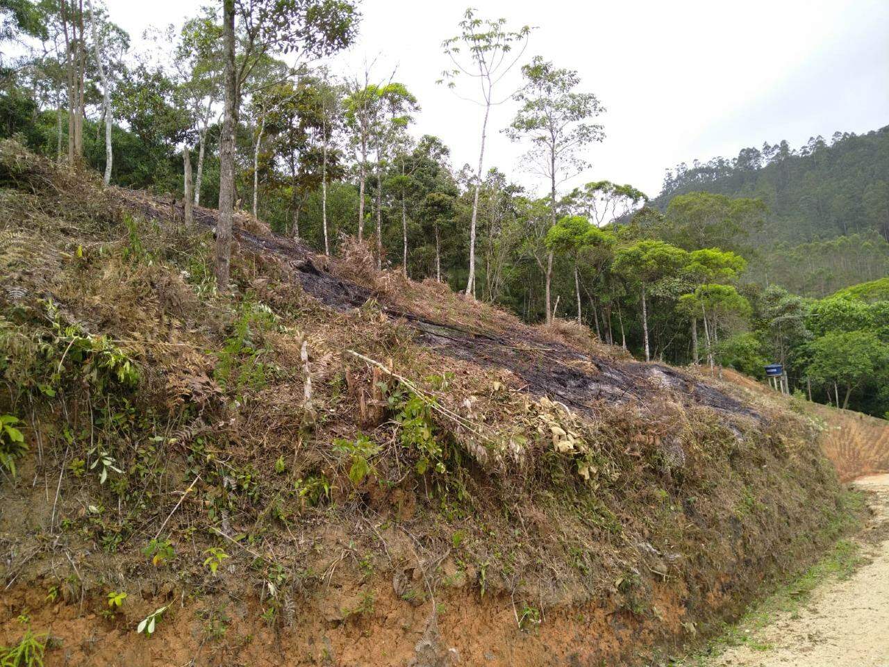 Lote/Terreno de 2500m² no bairro São João, em Brusque | Eu Corretor