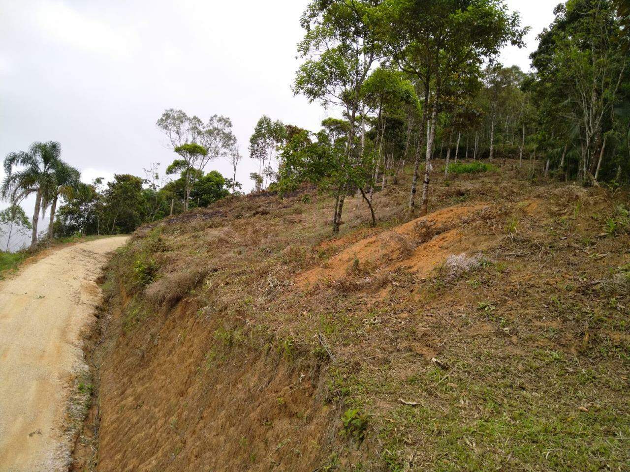 Lote/Terreno de 2500m² no bairro São João, em Brusque | Eu Corretor