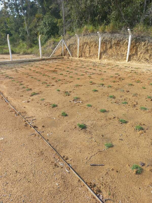 Terreno à venda no Dom Joaquim: 