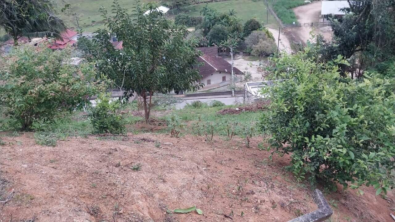 Terreno à venda no Tomaz Coelho: 