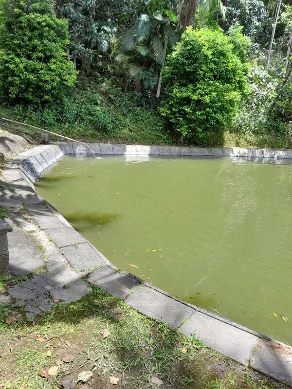 Sítio à venda no Ribeirão do Ouro: 