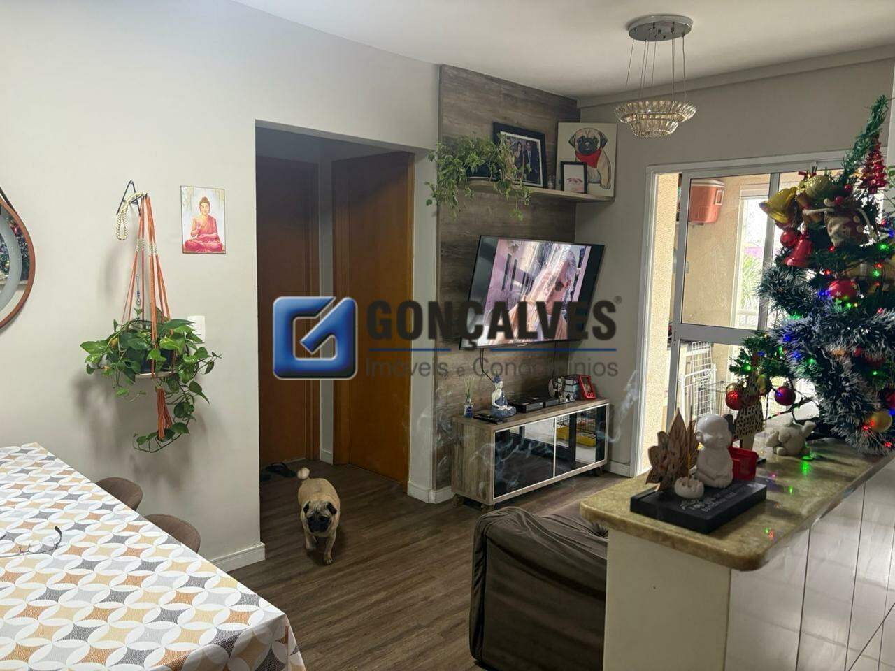 130906, Apartamento, à venda, à venda, 670.000,00,Barcelona, São Caetano do Sul,2 quartos: 