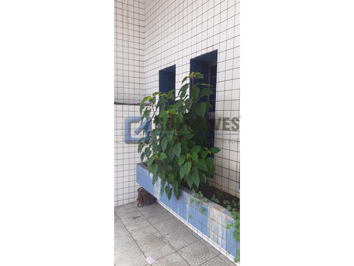 14403, Sobrado, para aluguel, para alugar, 4.500,00,Centro, São Bernardo do Campo,: A (41)