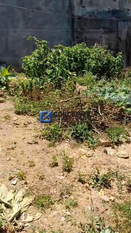 15134, Terreno, à venda, à venda, 3.900.000,00,Osvaldo Cruz, São Caetano do Sul,: 