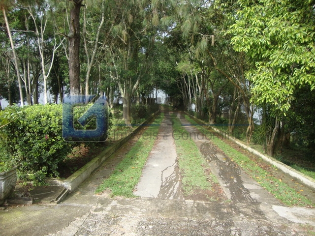 1543, Terreno, à venda, à venda, 1.600.000,00,Batistini, São Bernardo do Campo,: F98520C