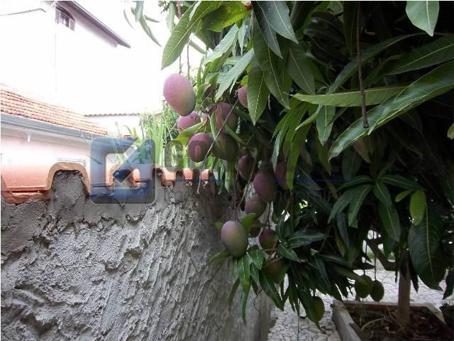 1668, Casa, à venda, à venda, 585.000,00,Vila São Nicolau, São Paulo,2 quartos: F103301B