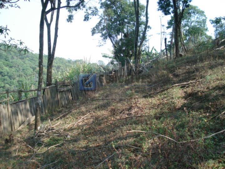 2405, Terreno, à venda, à venda, 650.000,00,Batistini, São Bernardo do Campo,: A (53)