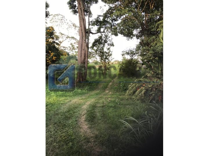 241, Terreno, à venda, à venda, 1.490.000,00,Mato Dentro, ATIBAIA,: IMG-20180414-WA0065