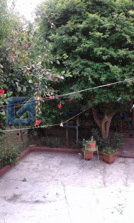 2413, Terreno, à venda, à venda, 1.272.000,00,Vila Camilópolis, Santo André,: 20161007_105431_resized_resized