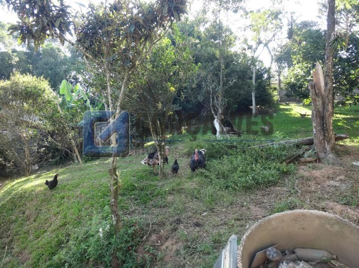 2443, Chácara, à venda, à venda, 530.000,00,Rio Grande, São Bernardo do Campo,4 quartos: Fotos Riacho W 06