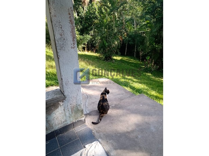 2592, Chácara, à venda, à venda, 500.000,00,Jardim Clube de Campo, Santo André,2 quartos: 126827 14