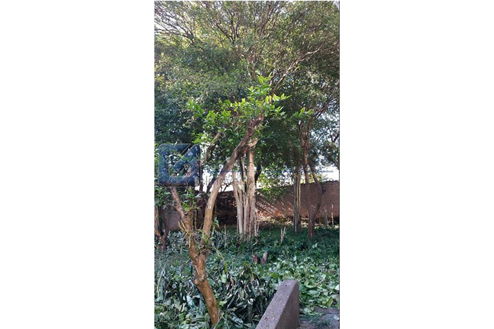 2597, Terreno, à venda, à venda, 1.383.000,00,Centro, São Bernardo do Campo,: 20170526_095853_resized