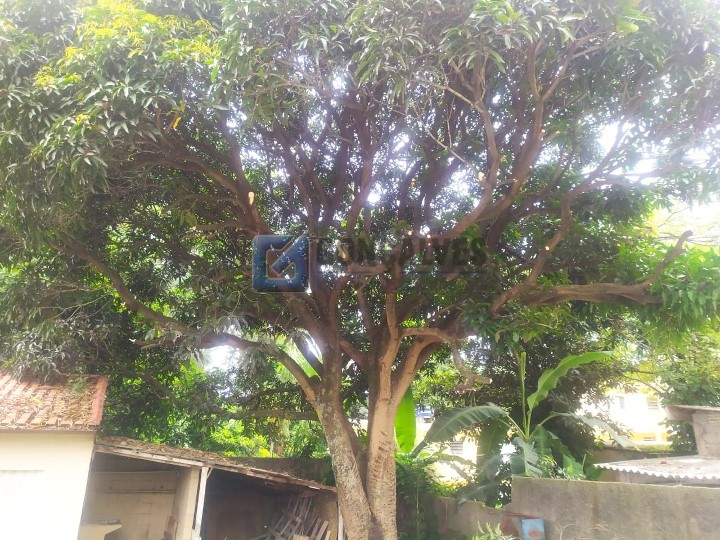 2712, Casa, à venda, à venda, 1.100.000,00,Paulicéia, São Bernardo do Campo,3 quartos: IMG-20210527-WA0028