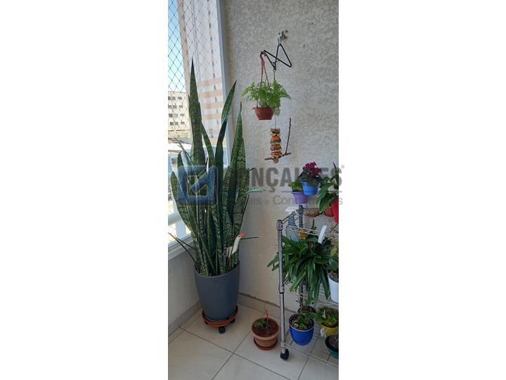 3046, Apartamento, à venda, à venda, 530.000,00,Baeta Neves, São Bernardo do Campo,3 quartos: A (34)