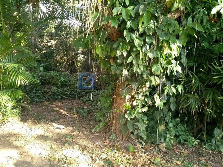 3268, Terreno, à venda, à venda, 958.000,00,Alvarenga, São Bernardo do Campo,: WhatsApp Image 2021-06-15 at 11