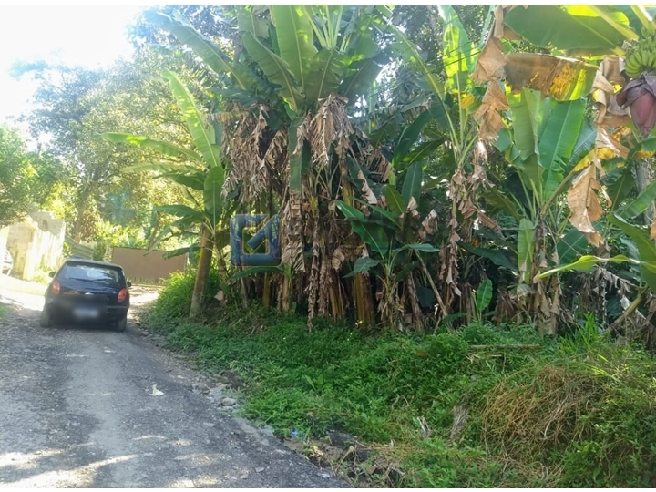 3517, Terreno, à venda, à venda, 100.000,00,Recreio da Borda do Campo, Santo André,: B (5)
