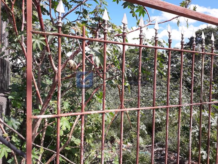 3636, Terreno, à venda, à venda, 900.000,00,Batistini, São Bernardo do Campo,: A (15)