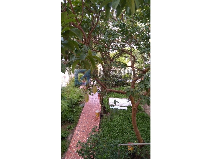 3786, Sobrado, à venda, à venda, 630.000,00,Centro, São Bernardo do Campo,3 quartos: ref