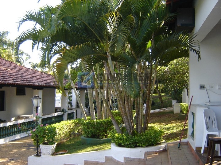 3789, Chácara, à venda, à venda, 850.000,00,Theodoro de Souza Barros, São Pedro,4 quartos: IMG-20210216-WA0048