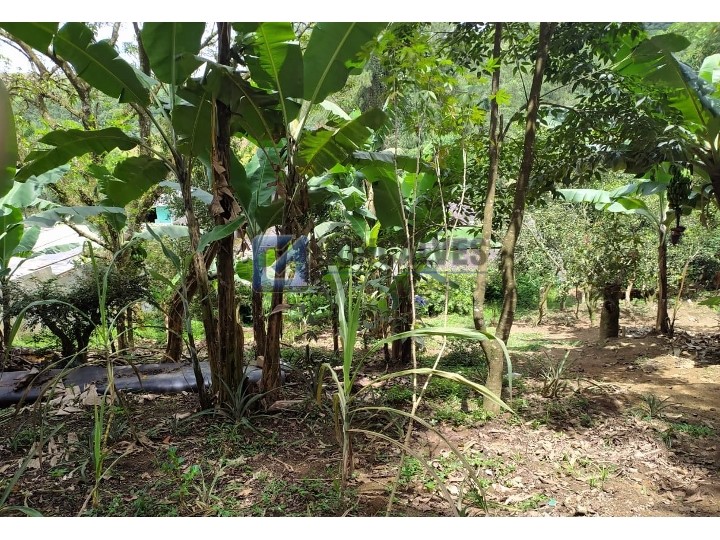 3873, Casa, à venda, à venda, 636.000,00,Vila Pires, Santo André,3 quartos: IMG-20210512-WA0111