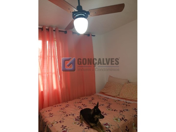 3910, Apartamento, à venda, à venda, 212.000,00,Alves Dias, São Bernardo do Campo,2 quartos: IMG-20210610-WA0069
