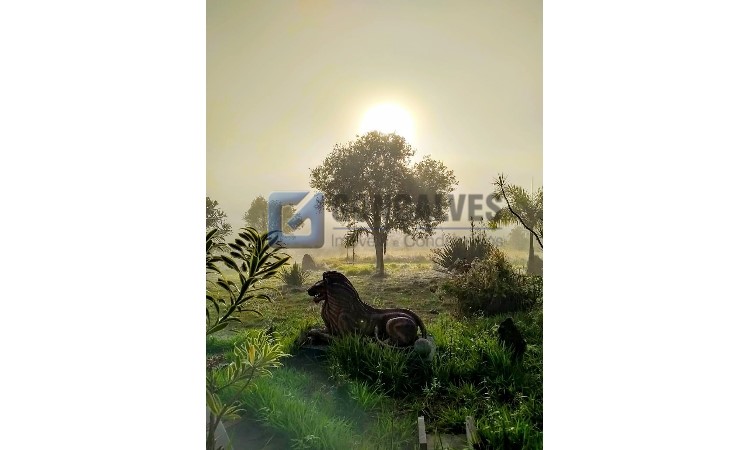 3971, Sítio, à venda, à venda, 1.600.000,00,PORTEIRA PRETA, MOGI DAS CRUZES,3 quartos: IMG-20210712-WA0033