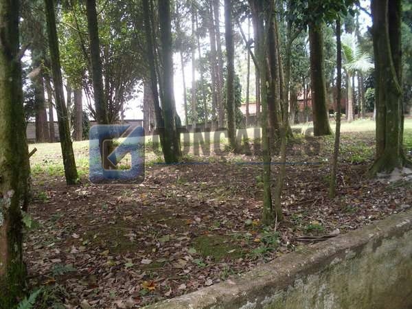 4062, Área Comercial, à venda, à venda, 300.000,00,Dos Finco, São Bernardo do Campo,: 6F00705E