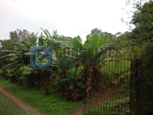 4085, Terreno, à venda, à venda, 450.000,00,Batistini, São Bernardo do Campo,1 quarto: 6F00780C