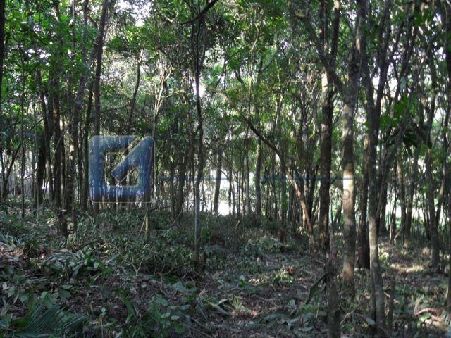4124, Terreno, à venda, à venda, 230.000,00,Jardim Tupã, São Bernardo do Campo,: SAM_0841