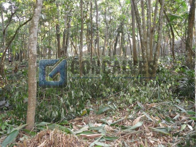 4124, Terreno, à venda, à venda, 230.000,00,Jardim Tupã, São Bernardo do Campo,: SAM_0835